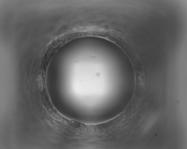 X0000078281493200611031154