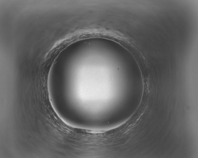 X0000078281494200611031154