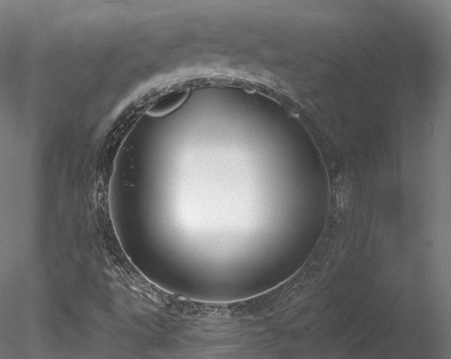 X0000078281495200611031154