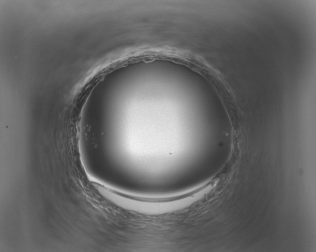 X0000078281496200611031154