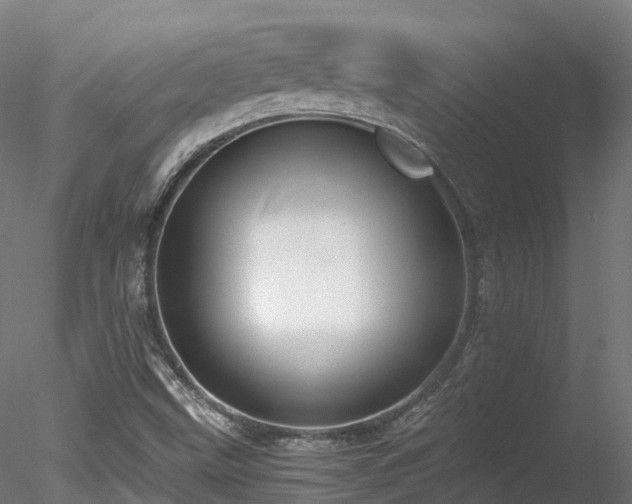 X0000078281499200611031155