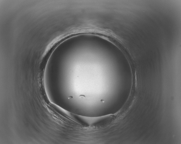 X0000078281501200611031155