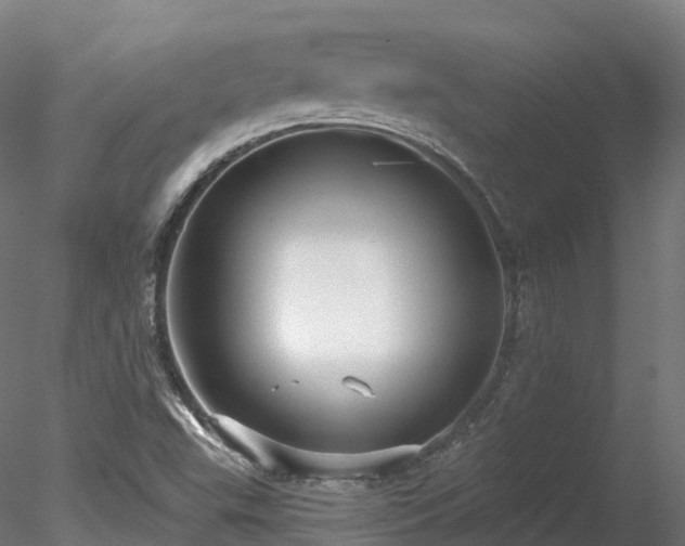 X0000078281503200611031155