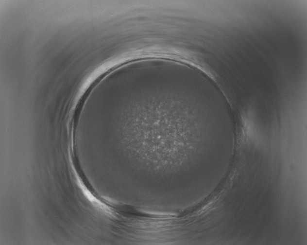 X0000078281515200611031155