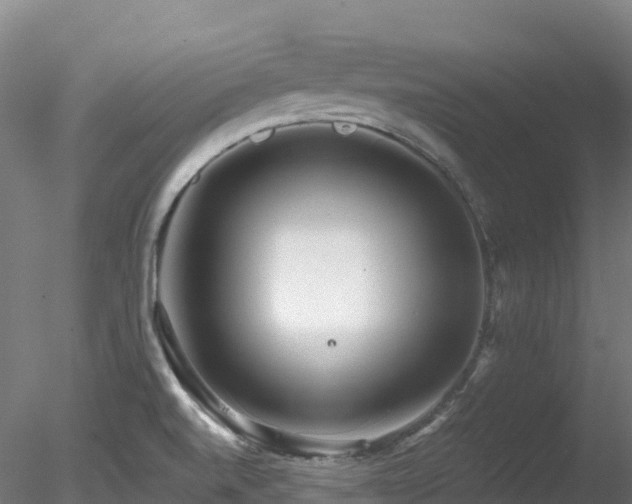 X0000078281520200611031155