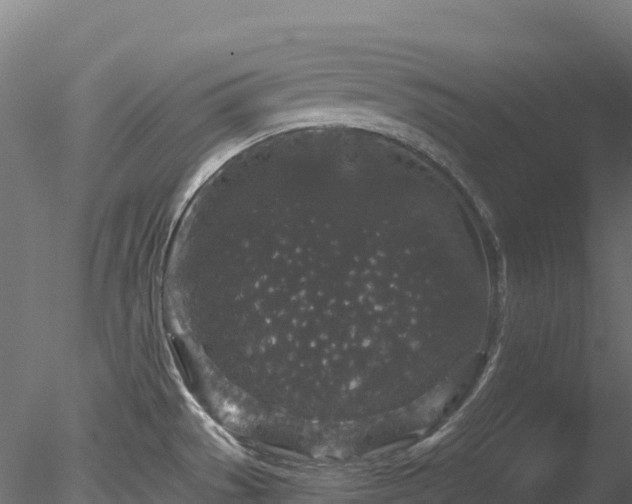 X0000078281529200611031155