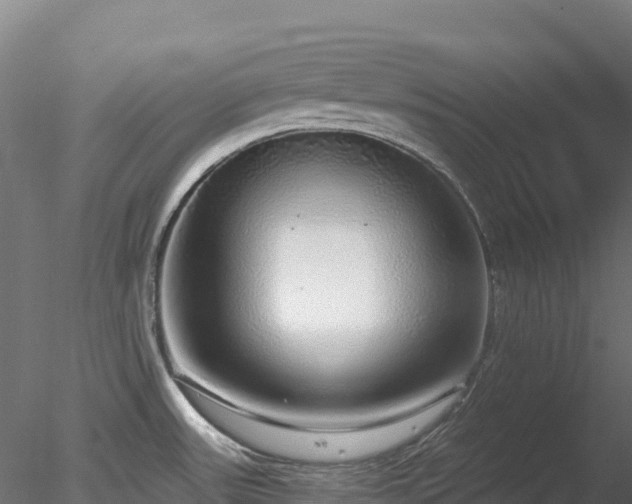 X0000078281531200611031155