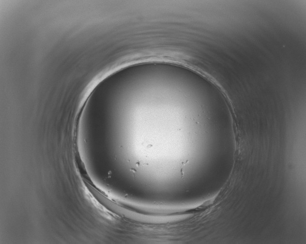 X0000078281532200611031155