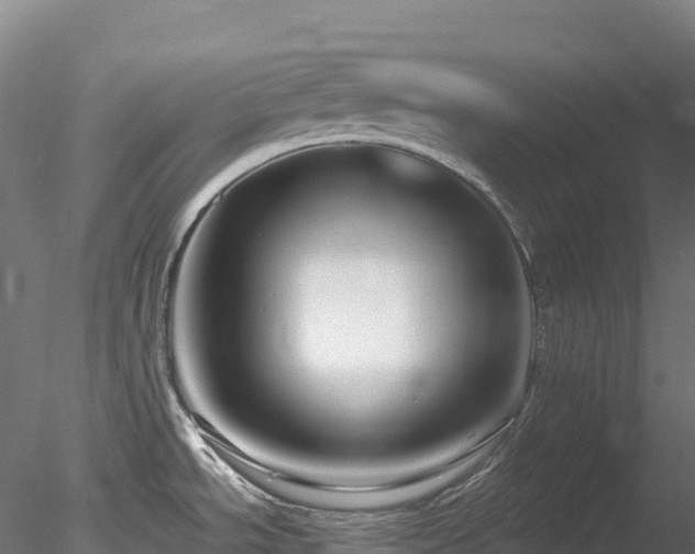 X0000078281534200611031155