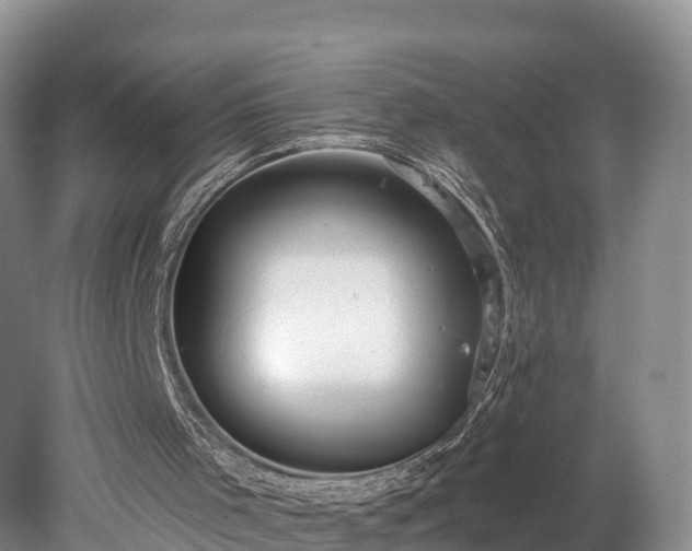 X0000078280001200611101145