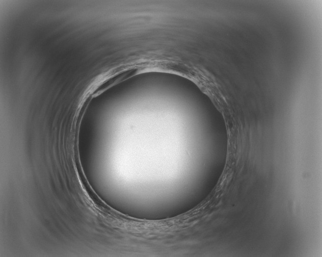 X0000078280003200611101145