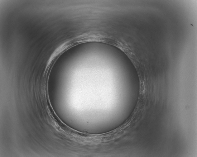 X0000078280004200611101145