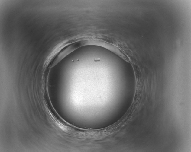 X0000078280005200611101145