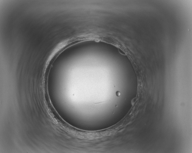 X0000078280006200611101145