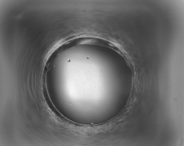 X0000078280007200611101145