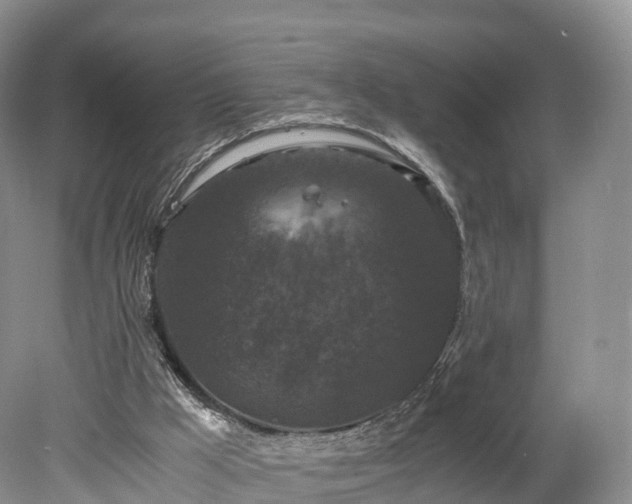 X0000078280009200611101145