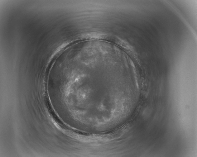 X0000078280012200611101145