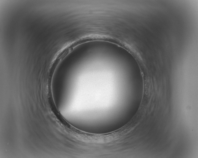 X0000078280015200611101145