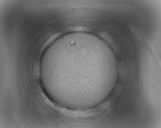 X0000078280016200611101145