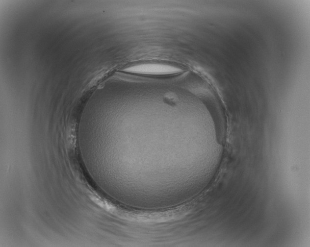 X0000078280017200611101145