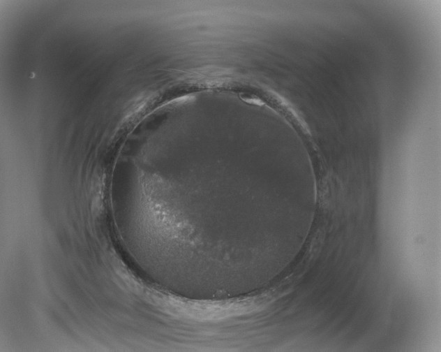 X0000078280018200611101145