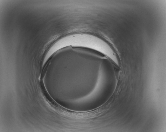 X0000078280019200611101145