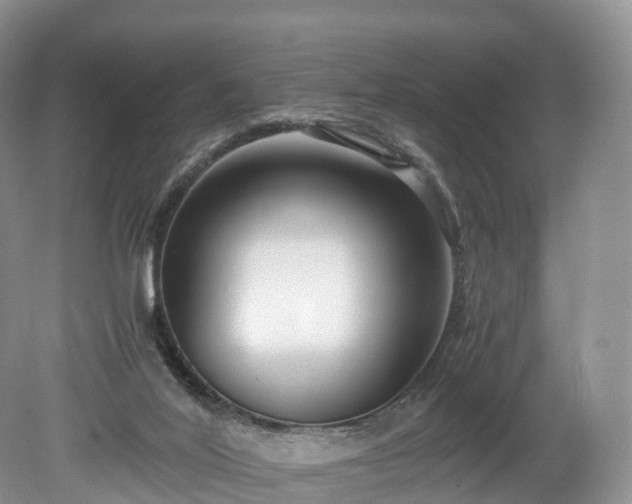 X0000078280020200611101145