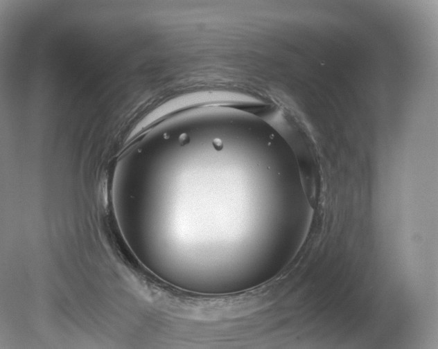 X0000078280021200611101145