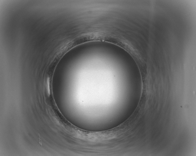 X0000078280022200611101145