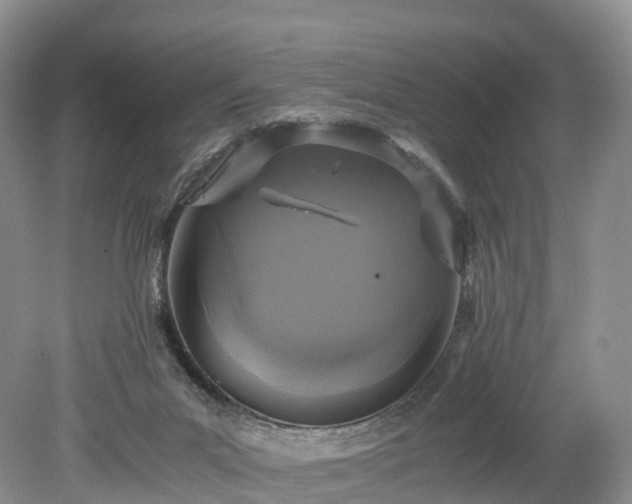 X0000078280023200611101145