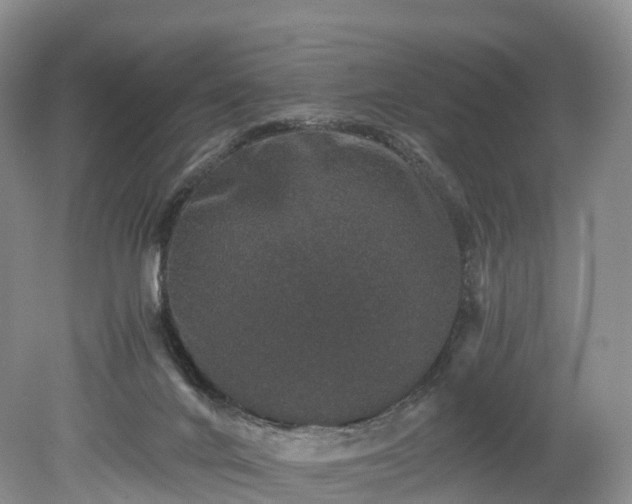 X0000078280024200611101145