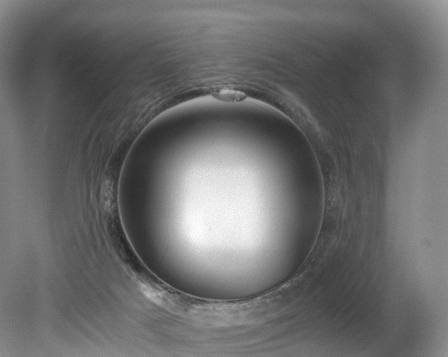 X0000078280025200611101145