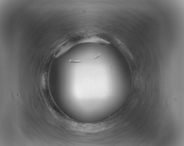 X0000078280026200611101145