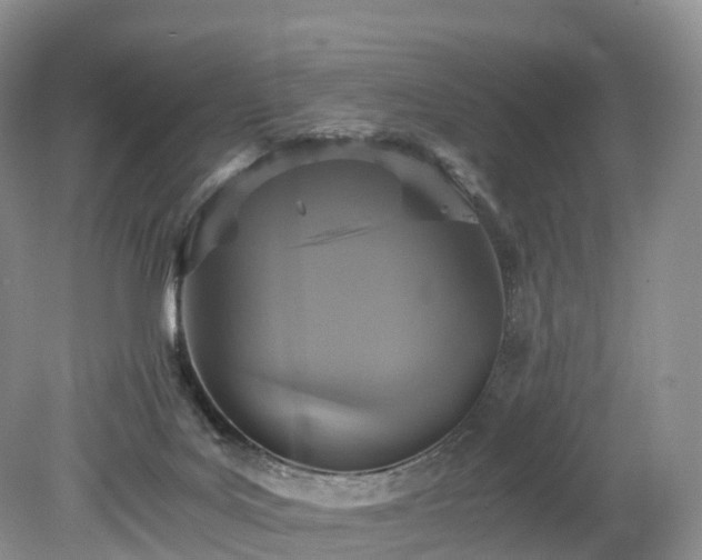 X0000078280027200611101145