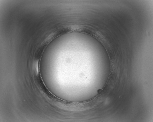 X0000078280028200611101145