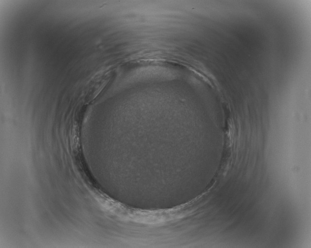 X0000078280029200611101145