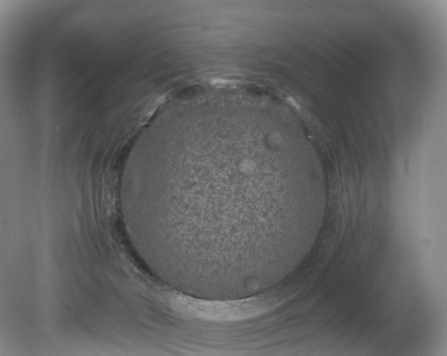 X0000078280030200611101145