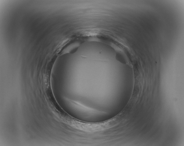 X0000078280031200611101145