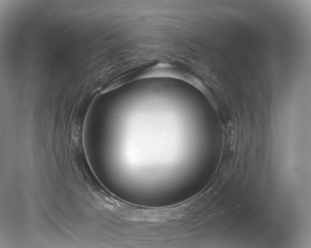 X0000078280033200611101145