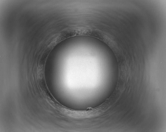 X0000078280034200611101145