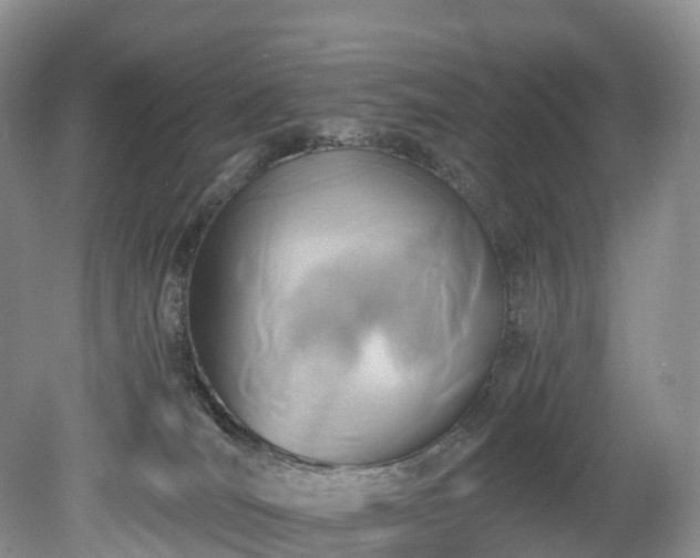 X0000078280036200611101145