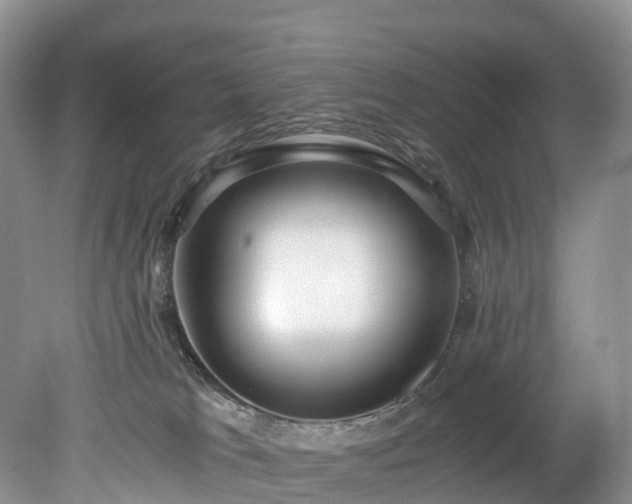 X0000078280037200611101145