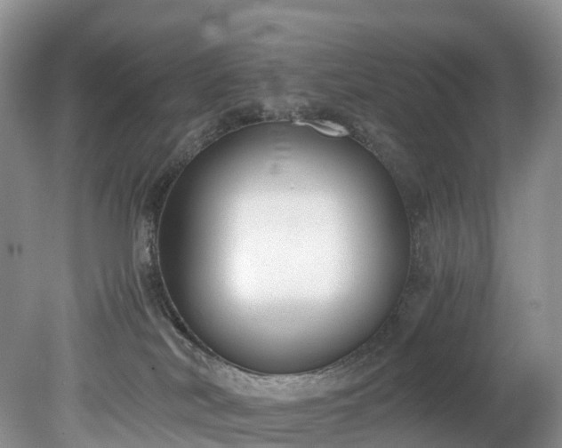 X0000078280038200611101145