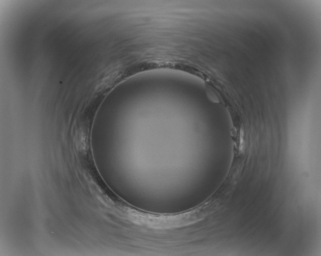 X0000078280039200611101145