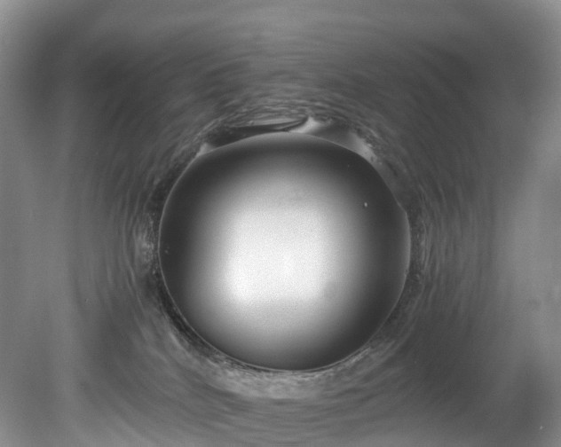 X0000078280040200611101145