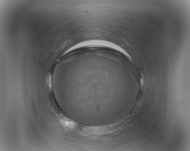 X0000078280041200611101145