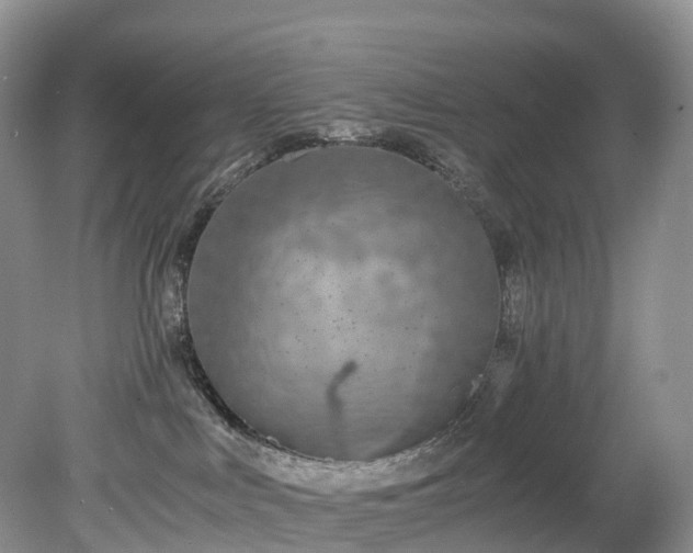 X0000078280043200611101145