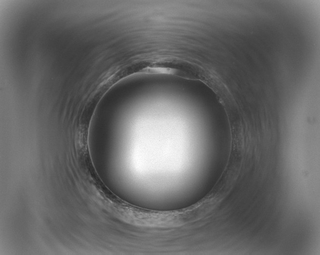 X0000078280044200611101145