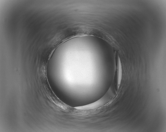 X0000078280045200611101145