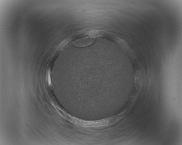 X0000078280046200611101145